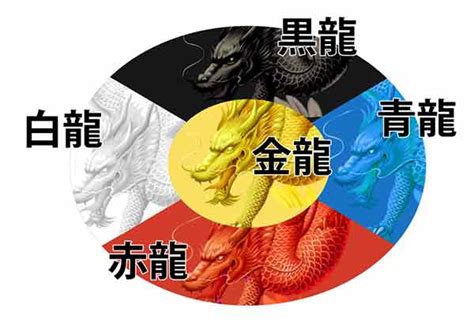 青龍 五行